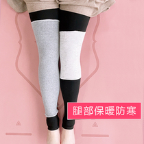 Old Chill Leg Warm Kneecap Cover for Old Age sleeping knee Cold-proof maternal men and women Summer air-conditioned room thin leg sleeves