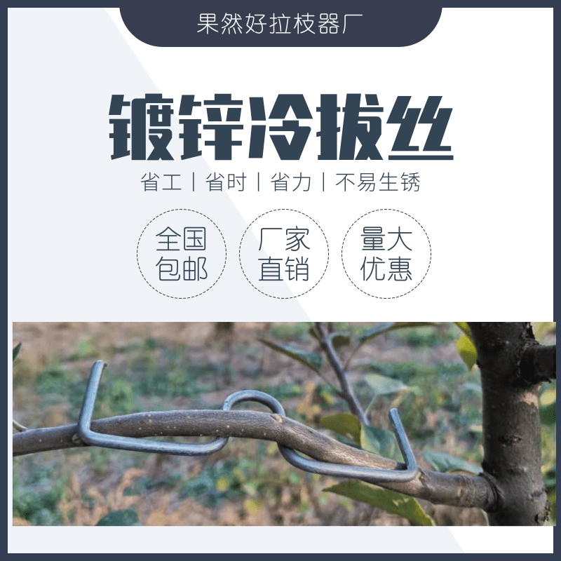 SM type brancher citrus branch branch cherry pull branch branch branch branch branch branch open tool fruit tree branch
