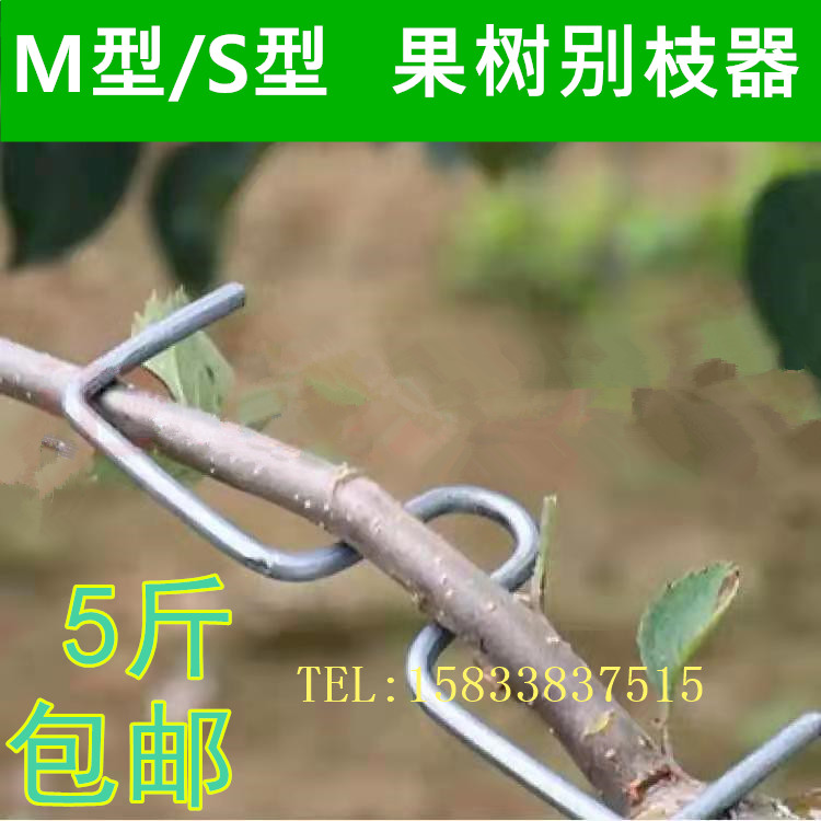 Fruit tree branching device SM type styling device branch pressing apple citrus rose bonsai with bent branch clip 5kg