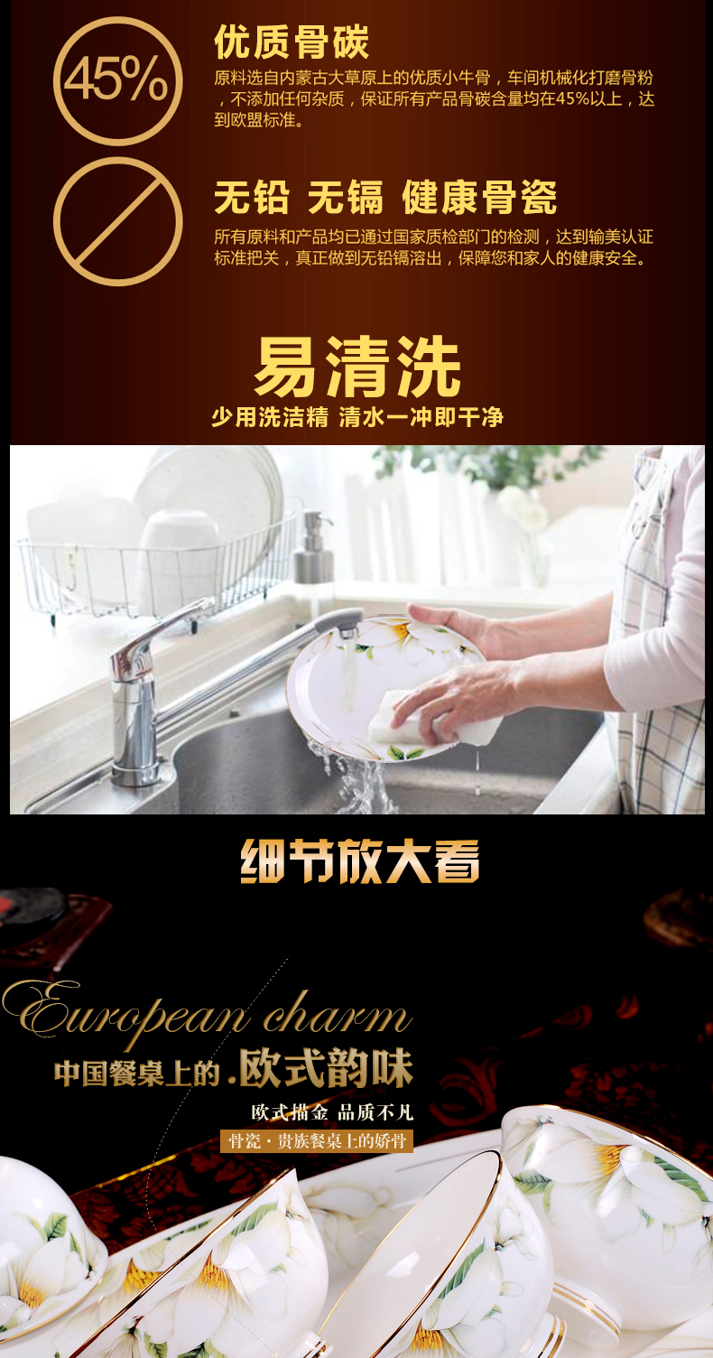 Antarctic treasure ipads porcelain European suit dishes tableware up phnom penh combiner Chinese dishes suit household contracted/