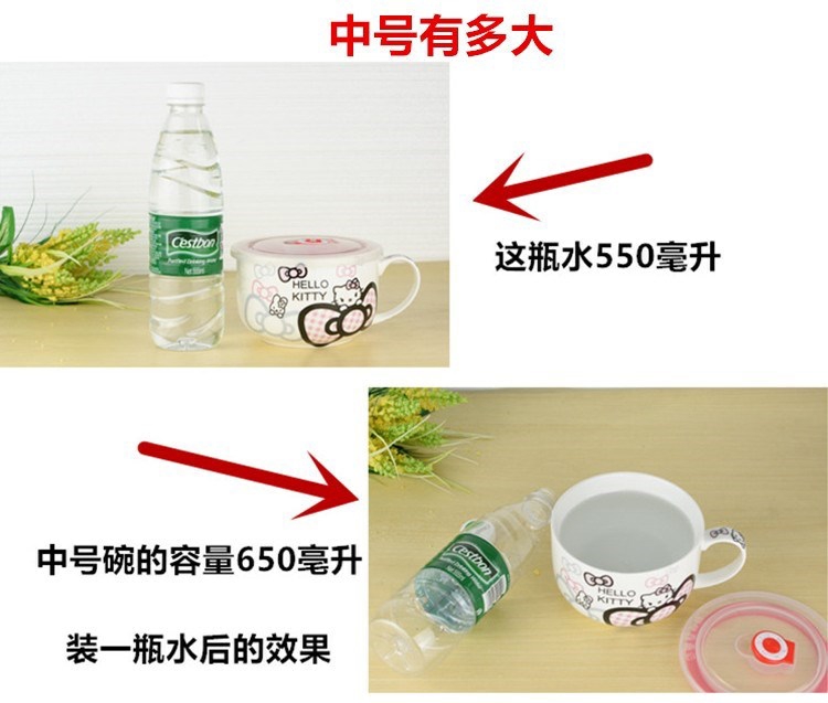 Large domestic capacity of portable bento lunch box office worker bowl with cover with iron and ceramic bowl against