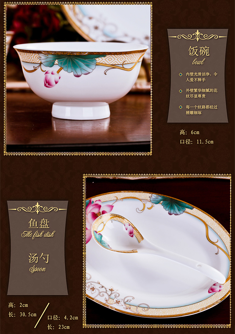 Antarctic treasure ipads porcelain household gift, 28 head 56 those dishes housewarming gift dishes Korean tableware suit/