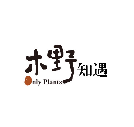 木野知遇Only Plants配方研发室