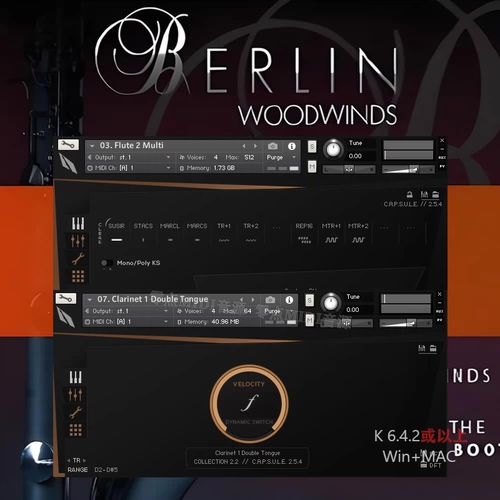 Источник звука Berlin Woodwinds 2.5 191g базовый + расширенный ABCD