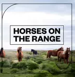 Копыта лошади, звуковые эффекты рев лошади. Материал лошадей 5g [аудиоформат]