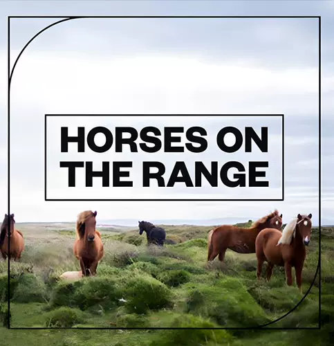 Копыта лошади, звуковые эффекты рев лошади. Материал лошадей 5g [аудиоформат]