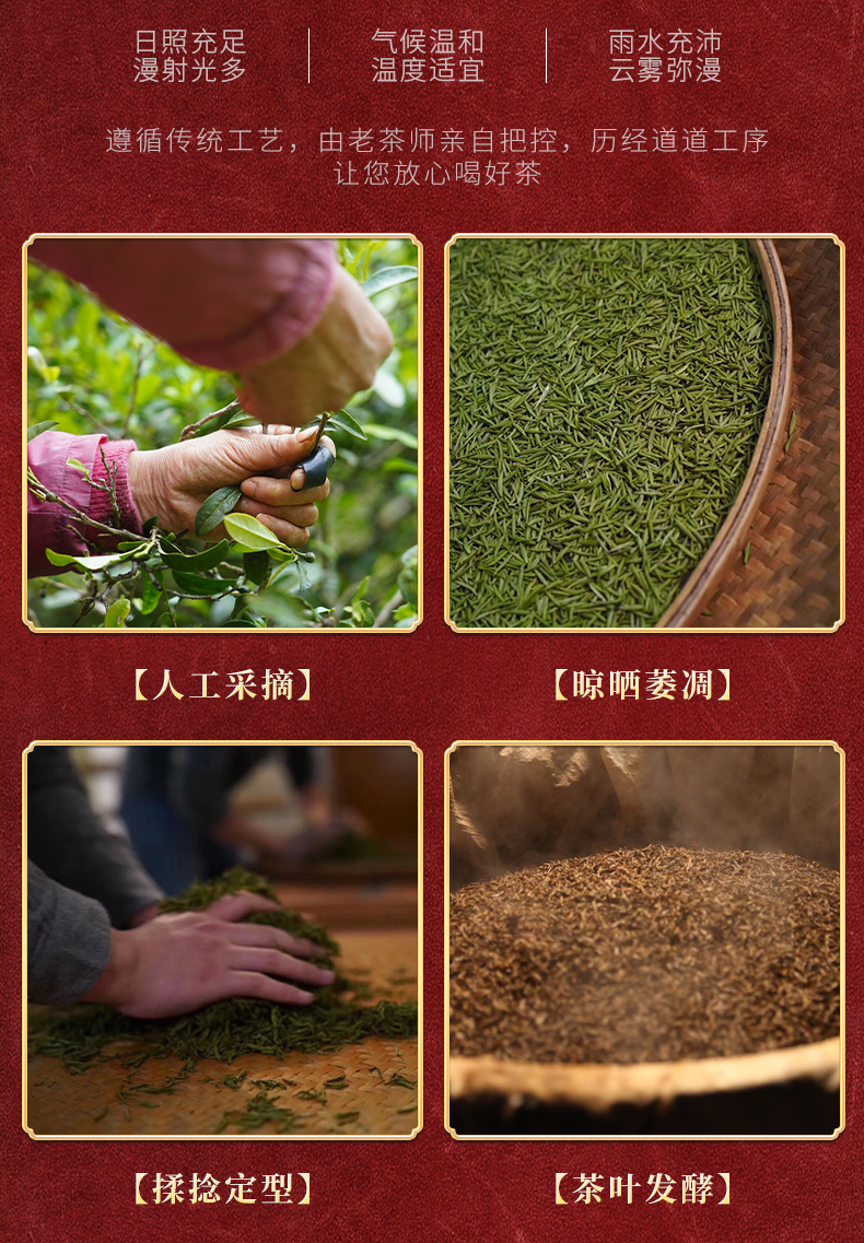 端午节送礼品正山小种红茶茶叶