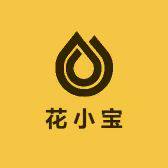 花小宝全国同城鲜花速递