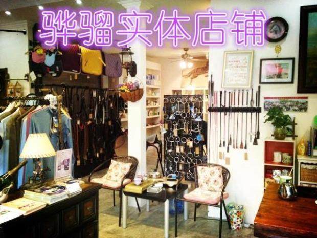 Article sports equestres - Ref 1382521 Image 3