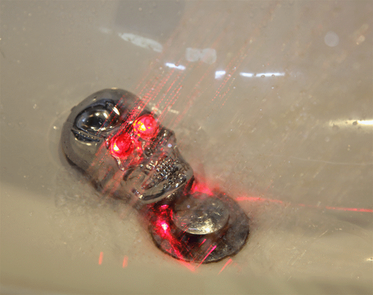 Eclairage pour vélo - Taillights - Ref 2398137 Image 77