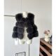 Korean Style Imitation Fox Fur Vest for Women 2025 Autumn and Winter New Style Versatile Patchwork Pu Leather Vest Jacket for Small People