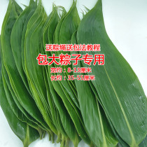 Special Size Fresh Rice Dumplings Fresh Rice Zongzi Leaf Zongzi Leaf Wild Freshly Wrapped Zongzi vacuum Leaf 100 Zhang shares