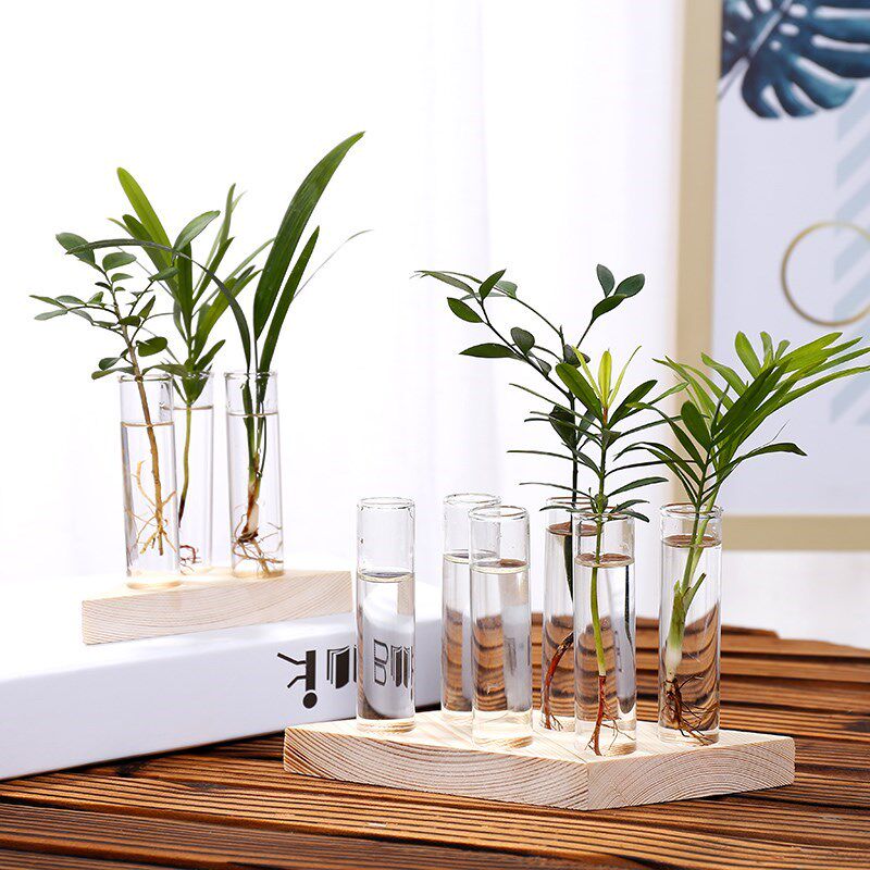 Hydroponic hydroponic solid wood glass vase flower shelf Desktop green planting glass tube utensil creative flower arrangement decorative swing decoration