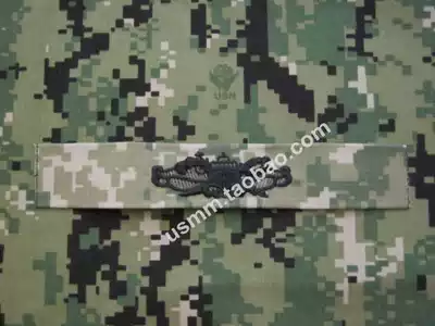 AOR10--(Spot) US NAVY SWCC Qualification Badge (AOR2)