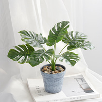 ins Nordic style simulation turtle back leaf plant indoor potted green plant leaves with pots Home desktop decorations