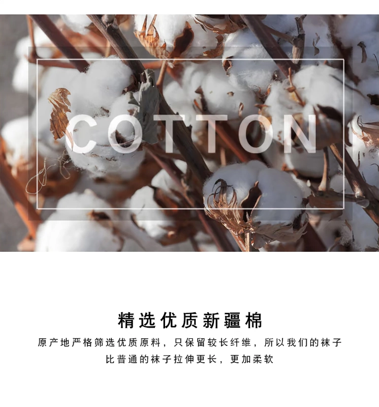 Vớ phụ nữ mùa xuân và mùa hè cạn miệng vớ cá tính in thêu nhỏ mới phụ nữ thuyền vớ học sinh thể thao vớ bông thủy triều - Vớ sợi tre
