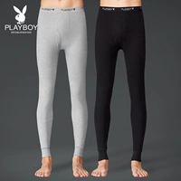 [Pre-sale] Quần ấm áp nam Playboy phần mỏng mùa thu và mùa đông Quần cotton nam dài quần đáy quần quần dài nữ học sinh