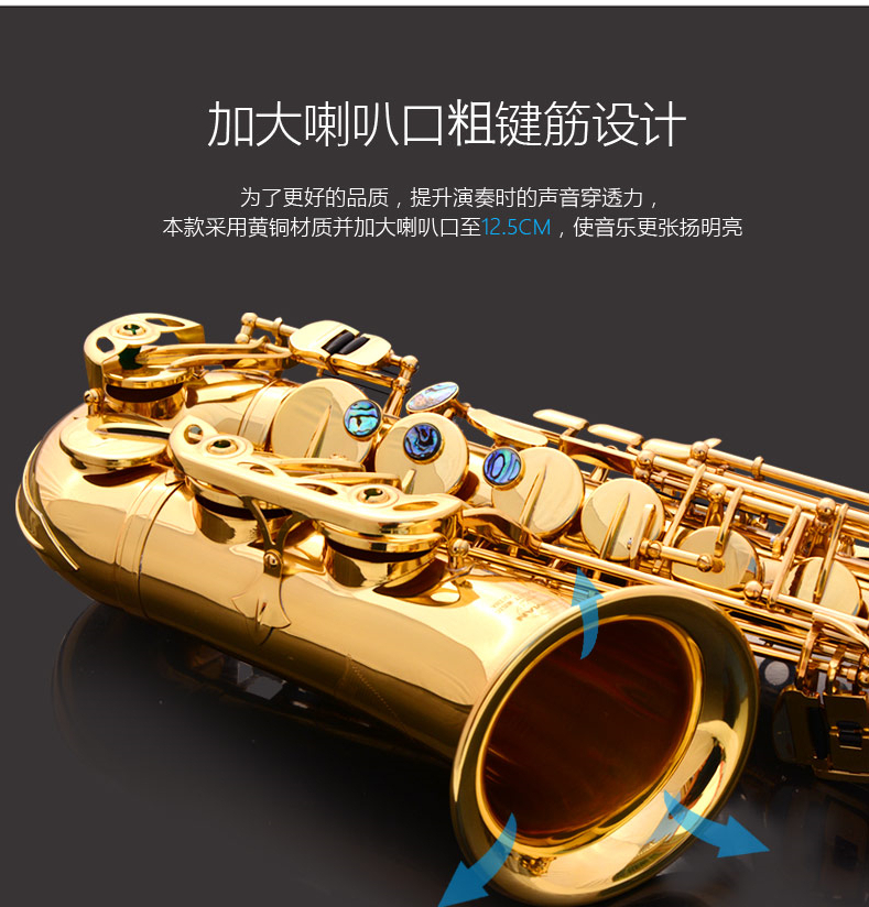 Lehmann e-Flat alto sax instrument hai phím saxophone chính dành cho người mới bắt đầu - Nhạc cụ phương Tây trống da