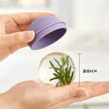 Хоккей, силиконовая форма для виски, кубики льда для домашнего использования, контейнер для хранения, «Холодное сердце»