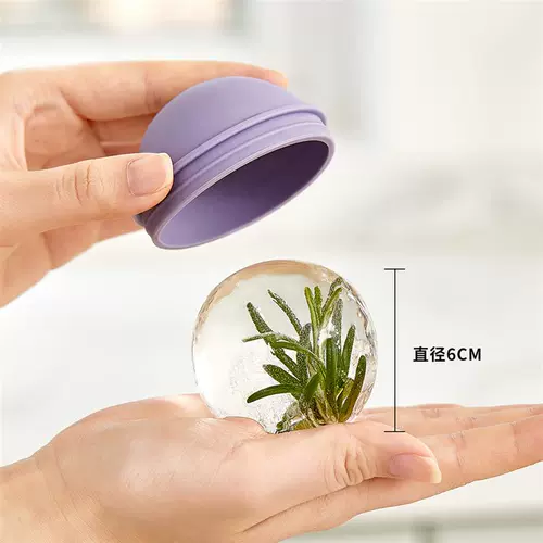 Хоккей, силиконовая форма для виски, кубики льда для домашнего использования, контейнер для хранения, «Холодное сердце»