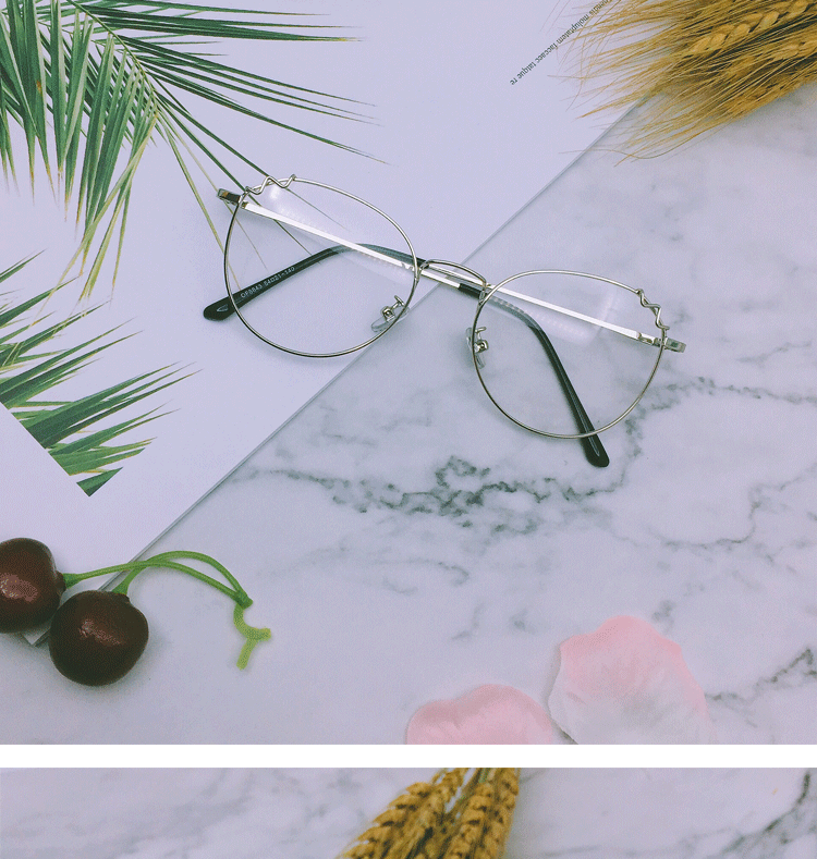 Montures de lunettes en Alliage de nickel - Ref 3139856 Image 22