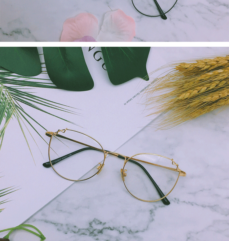 Montures de lunettes en Alliage de nickel - Ref 3139856 Image 15