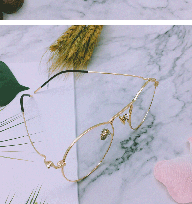 Montures de lunettes en Alliage de nickel - Ref 3140129 Image 8