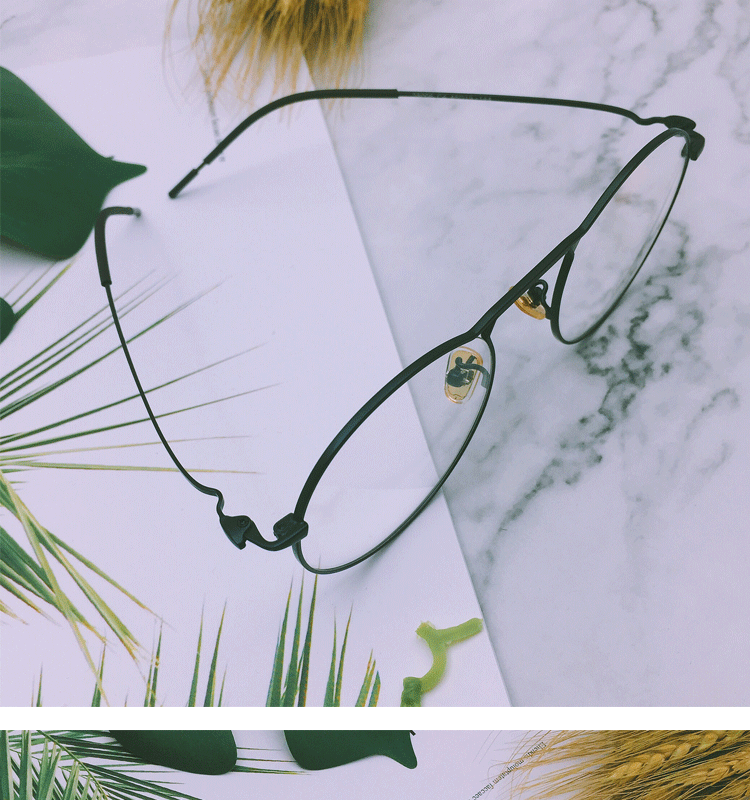 Montures de lunettes en Alliage de nickel - Ref 3140129 Image 14