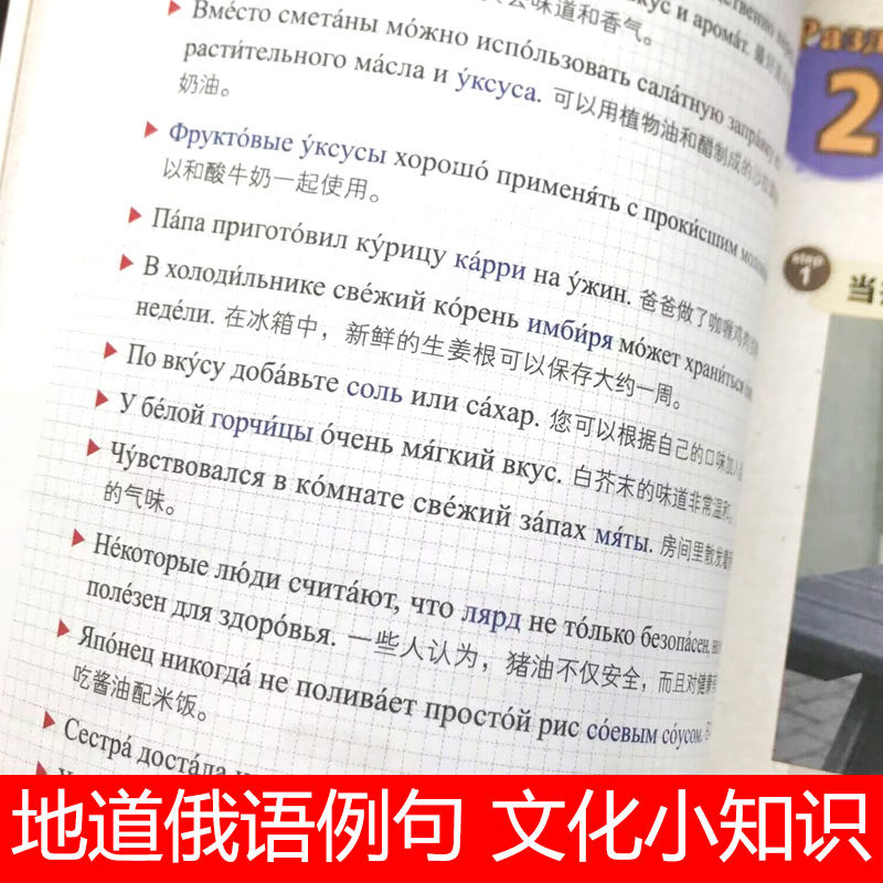 零基础学俄语：标准俄语手写体字帖+思维导图口语书+全3册自学教材，轻松入门！-俄语-淘宝百科网