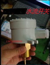 BZFS-25S style water flow switch Copper material stainless steel water flow switch