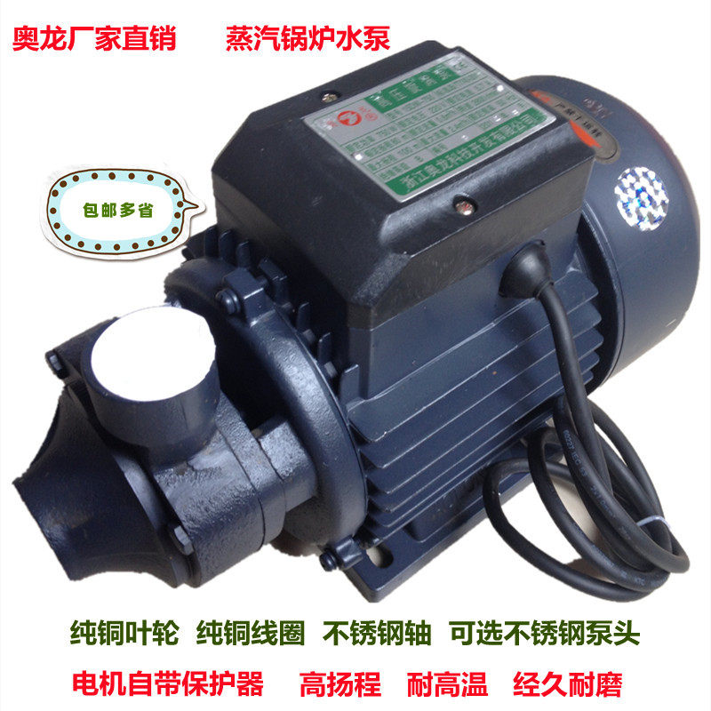 Otron Water Pump 15DW750 Watts High Pressure Swirl Pump Steam Generator Electric Heating Particle Boiler Water Pump Accessories 
