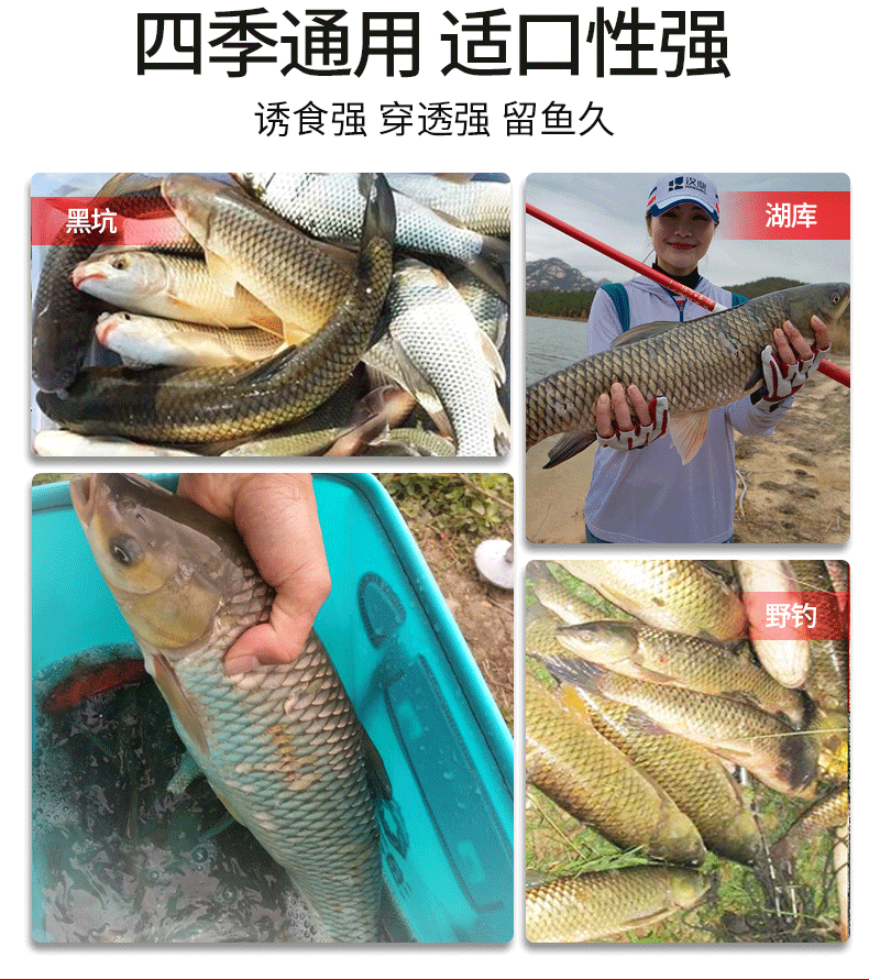 Han Đinh cám dỗ chết người thuốc gạo thơm rượu gạo hương vị tổ yến cá chép cá chép hoang dã câu cá thiết bị câu cá túi đựng cần câu lure