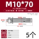 M10*70 (5)