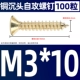 M3*10 (100)