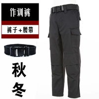 Демисезонные штаны, ремень