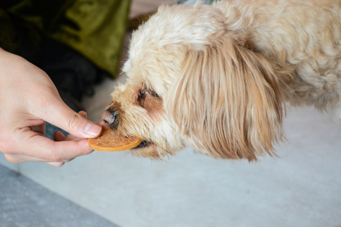 狗狗不听话？用麦富迪火腿肠切片训狗零食3