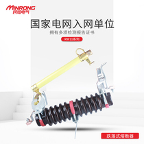 RW11-10 200A transformer Lingke high voltage drop switch 10KV drop fuse fuse tube