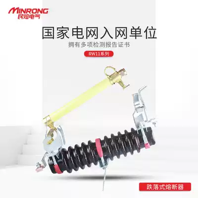 RW11-10 200A transformer Lingke high voltage drop-out switch 10KV drop-out fuse insurance fuse tube