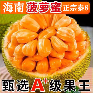 Hainan Specialty Thai No. 8 Vietnamese Red Meat Jackfruit Fresh Tropical Fruit Jackfruit Sanya Changjiang Origin