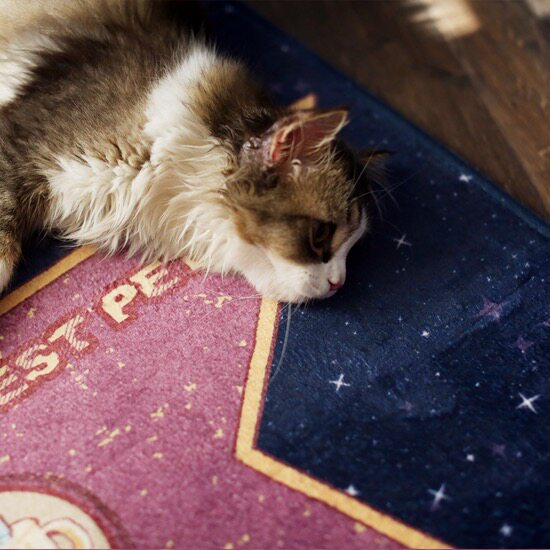 (Rice cake NianGao) cartoon pet floor mat carpet cat mat foot pad dog non-slip pet mat