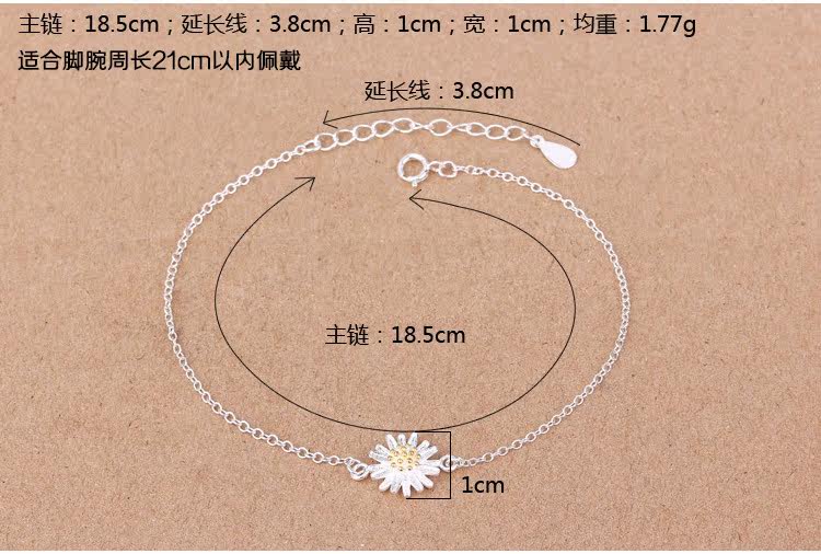 Bracelet de cheville Femme OTHER   en Argenterie - Ref 3103005 Image 6