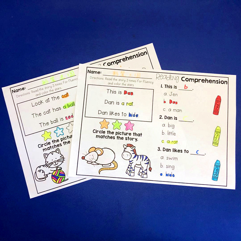 Young Children Elementary School English Junior Reading Comprehension Introductory Coat Color Fun Enlightenment Sentence Homework Paper Exercise Book