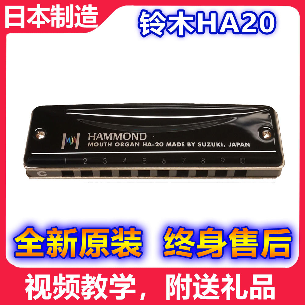 SUZUKI HA-20 Full metal harmonica SUZUKI 10-hole ten-hole harmonica ha20 Musical instrument gift