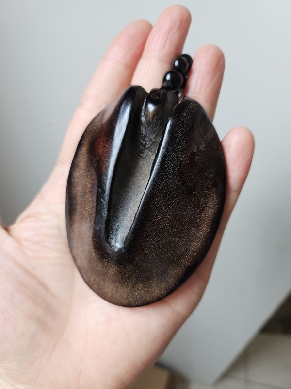 Natural Black Donkey Hoof Pendant, Hand-Held Ornament, Protective Amulet, Gua Sha Tool, Similar to the One Used in Ghost Blowing Lamp Natural Black Donkey Hoof Pendant, Hand-Held Ornament, Protective Amulet, Gua Sha Tool, Similar to the One Used in Ghost Blowing Lamp