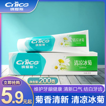 Naisi cool chrysanthemum cool chrysanthemum toothpaste 200g fresh breath whitening teeth affordable pack