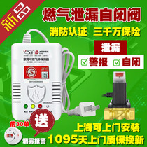 Household natural gas gas leak sensor alarm self-closing solenoid valve shut-off valve automatically closes safely