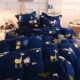 Mùa đông dày ấm dễ thương 黛茜 莱 nhung bốn mảnh lông cừu san hô bộ đồ giường flannel quilt tấm