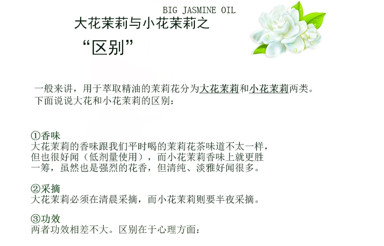 Tinh dầu hoa nhài lớn Ma-rốc 10ml massage dưỡng ẩm chống nhăn đơn thuần làm đẹp tự nhiên chăm sóc da hương thơm đích thực - Tinh dầu điều trị