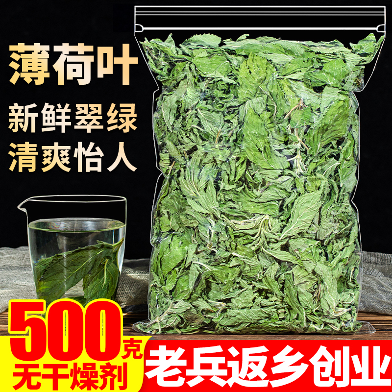 Dried Mint Leaves, Mint Tea 500g, Edible for Brewing, Freshly Roasted, for Drinks, Bar Cocktails, Refreshing, Also Available as Premium Wild Grade