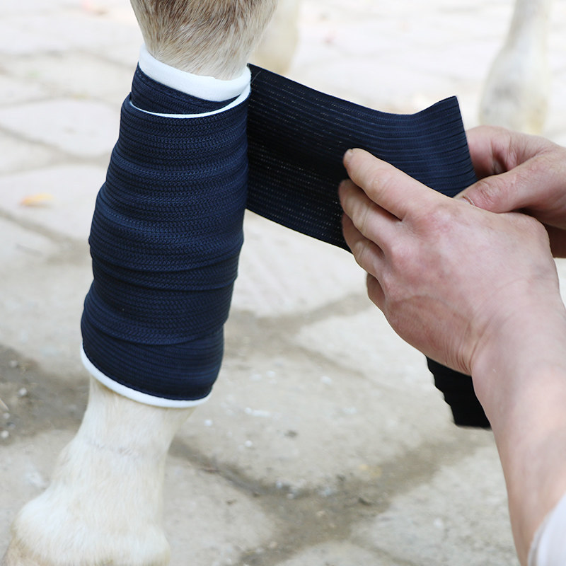 Horse leggings Cotton leggings Equestrian leggings Horse leggings Horse leggings Soft eight-foot dragon harness